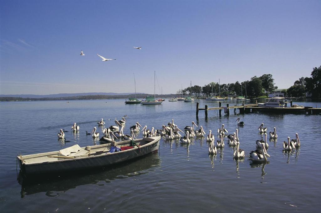 Black Swan Waterfront Motel (Adults Only) Суонсі Екстер'єр фото