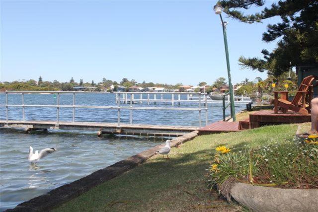 Black Swan Waterfront Motel (Adults Only) Суонсі Екстер'єр фото